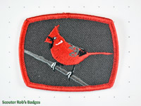 Click to enlarge Cardinal